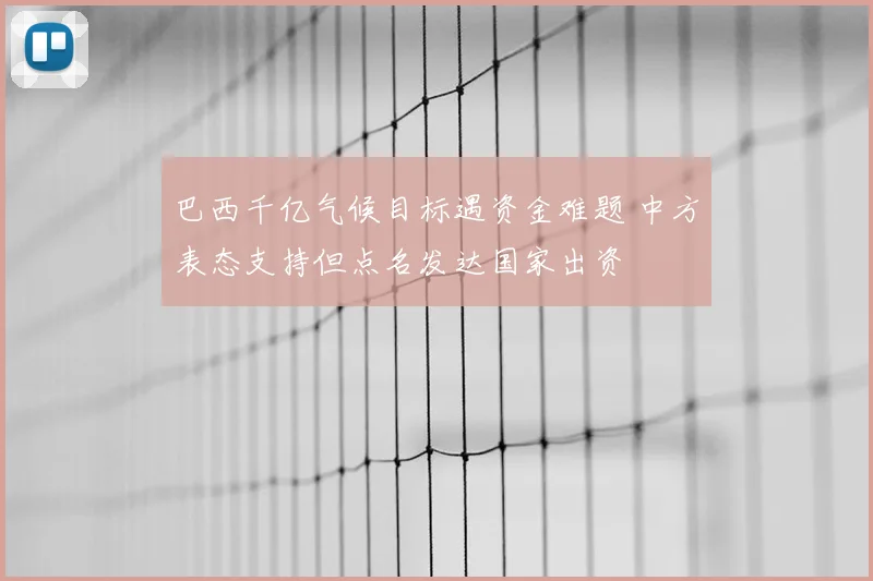 巴西千亿气候目标遇资金难题 中方表态支持但点名发达国家出资