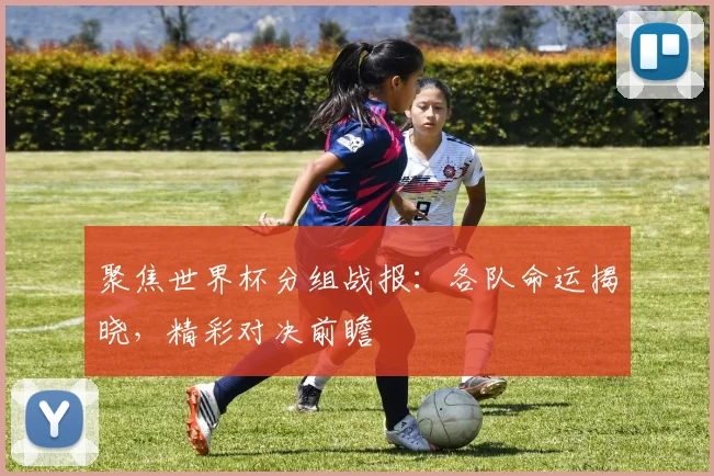 聚焦世界杯分组战报:各队命运揭晓,精彩对决前瞻