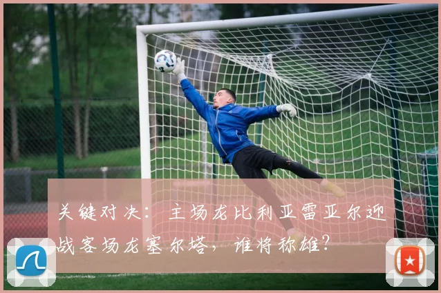 关键对决:主场龙比利亚雷亚尔迎战客场龙塞尔塔,谁将称雄?