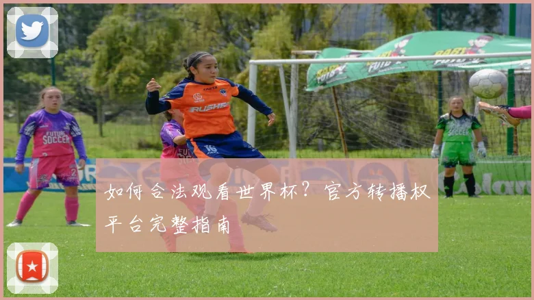 如何合法观看世界杯？官方转播权平台完整指南