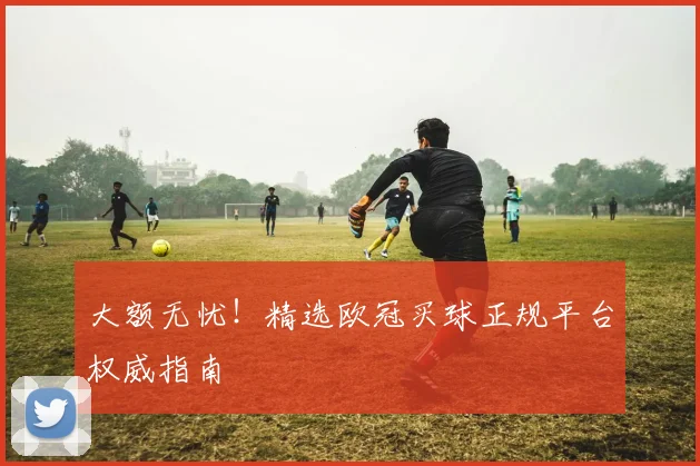大额无忧！精选欧冠买球正规平台权威指南