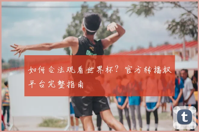 如何合法观看世界杯？官方转播权平台完整指南