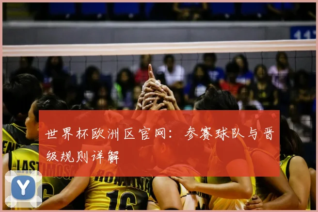 世界杯欧洲区官网:参赛球队与晋级规则详解